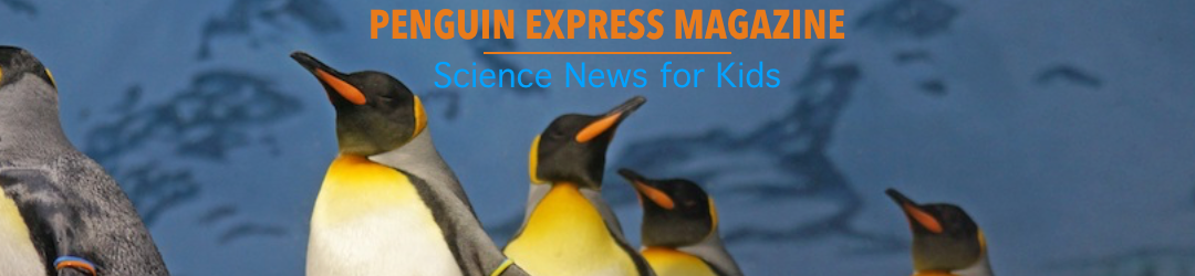 Penguin Express Magazine